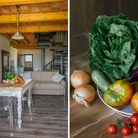 Vernaschi Santa Maria Nuova (Ancona)