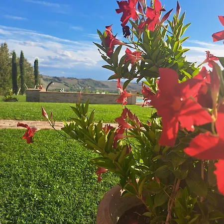 Vernaschi Villa Santa Maria Nuova (Ancona)