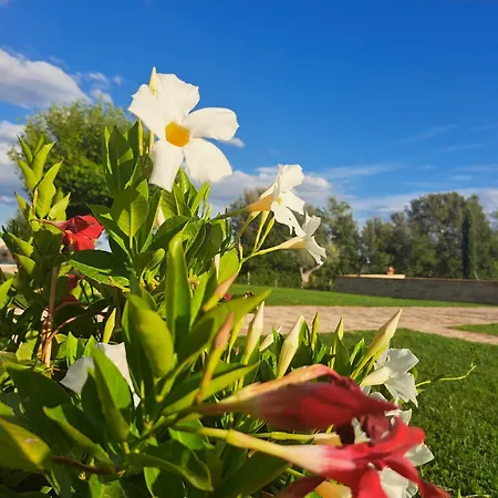 Villa Vernaschi Santa Maria Nuova (Ancona)
